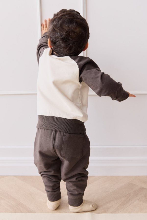 Organic Cotton Tao Sweatshirt - Pinecone Cloud Sasha Puppy Online Sale - Image 4